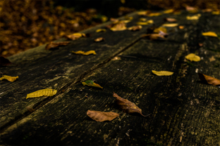 Fotos-Roadtrip-Balkan