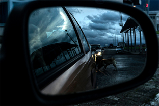 Fotos-Roadtrip-Balkan