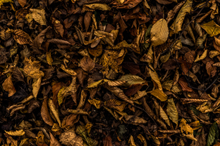 Fotos-Roadtrip-Balkan