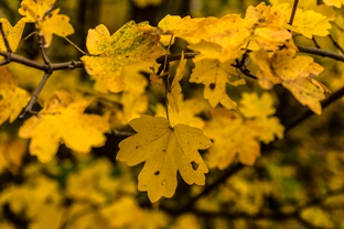 Fotos-Roadtrip-Balkan