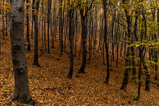 Fotos-Roadtrip-Balkan