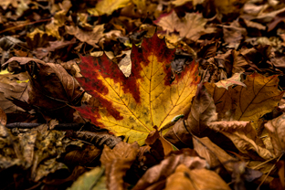 Fotos-Roadtrip-Balkan