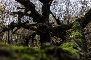 Fotos-Roadtrip-Balkan