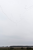 Fotos-Roadtrip-Balkan