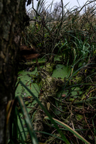 Fotos-Roadtrip-Balkan