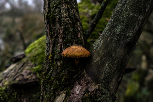 Fotos-Roadtrip-Balkan