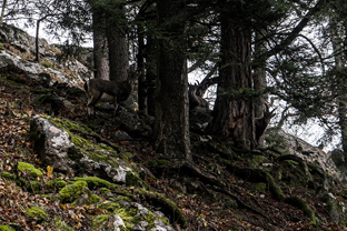 Fotos-Roadtrip-Balkan