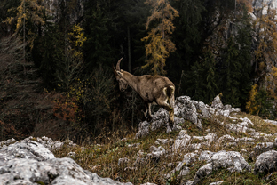 Fotos-Roadtrip-Balkan