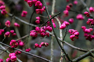 Fotos-Roadtrip-Balkan