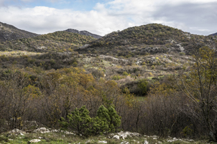 Fotos-Belgrad-Bar-Serbien-Montenegro