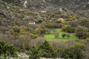 Fotos-Belgrad-Bar-Serbien-Montenegro