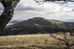 Fotos-Belgrad-Bar-Serbien-Montenegro