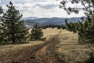 Fotos-Belgrad-Bar-Serbien-Montenegro