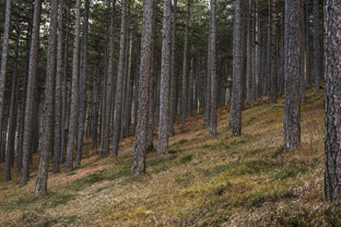 Fotos-Belgrad-Bar-Serbien-Montenegro