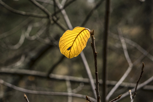 Fotos-Belgrad-Bar-Serbien-Montenegro