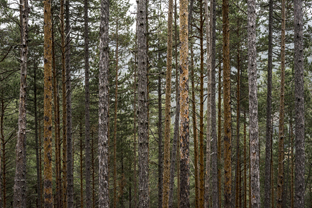 Fotos-Belgrad-Bar-Serbien-Montenegro