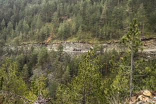 Fotos-Belgrad-Bar-Serbien-Montenegro