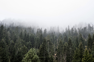 Fotos-Belgrad-Bar-Serbien-Montenegro