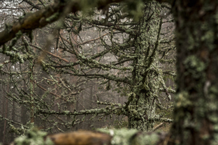 Fotos-Belgrad-Bar-Serbien-Montenegro