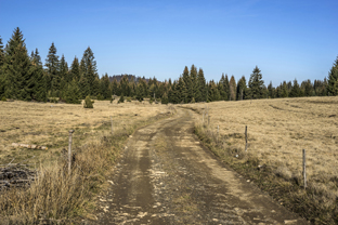 Fotos-Belgrad-Bar-Serbien-Montenegro