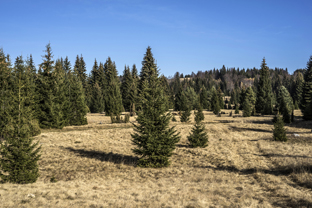 Fotos-Belgrad-Bar-Serbien-Montenegro