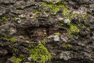 Fotos-Belgrad-Bar-Serbien-Montenegro