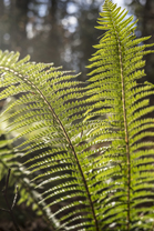 Fotos-Belgrad-Bar-Serbien-Montenegro