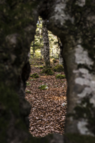 Fotos-Belgrad-Bar-Serbien-Montenegro