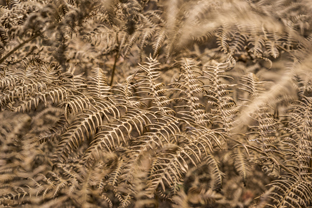 Fotos-Belgrad-Bar-Serbien-Montenegro