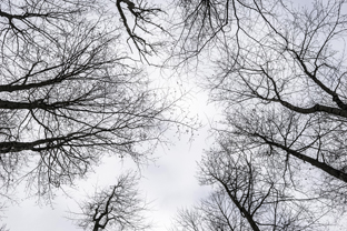 Fotos-Belgrad-Bar-Serbien-Montenegro