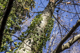 Fotos-Belgrad-Bar-Serbien-Montenegro