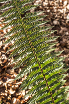 Fotos-Belgrad-Bar-Serbien-Montenegro