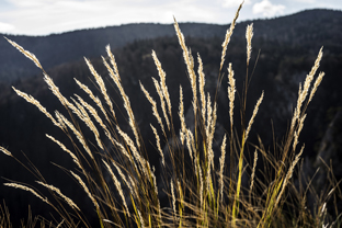 Fotos-Belgrad-Bar-Serbien-Montenegro