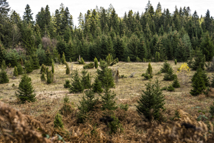 Fotos-Belgrad-Bar-Serbien-Montenegro