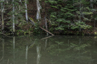 Fotos-Belgrad-Bar-Serbien-Montenegro