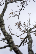 Fotos-Belgrad-Bar-Serbien-Montenegro