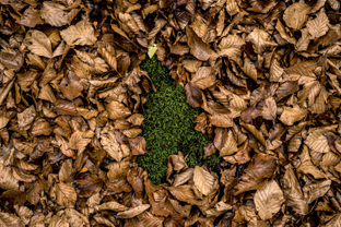 Fotos-Belgrad-Bar-Serbien-Montenegro