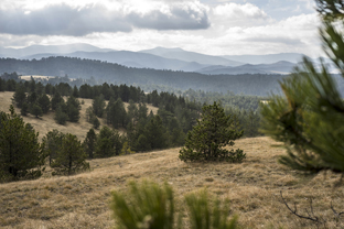 Fotos-Belgrad-Bar-Serbien-Montenegro