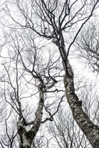 Fotos-Belgrad-Bar-Serbien-Montenegro