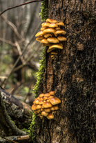 Fotos-Belgrad-Bar-Serbien-Montenegro