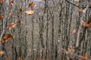 Fotos-Belgrad-Bar-Serbien-Montenegro