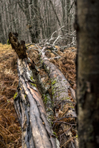 Fotos-Belgrad-Bar-Serbien-Montenegro