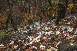 Fotos-Belgrad-Bar-Serbien-Montenegro