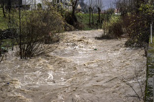 Fotos-Belgrad-Bar-Serbien-Montenegro