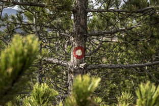 Fotos-Belgrad-Bar-Serbien-Montenegro