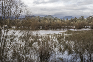 Fotos-Belgrad-Bar-Serbien-Montenegro