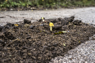 Fotos-Belgrad-Bar-Serbien-Montenegro