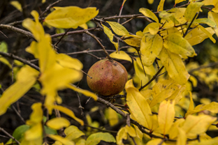 Fotos-Belgrad-Bar-Serbien-Montenegro