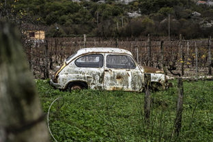 Fotos-Belgrad-Bar-Serbien-Montenegro