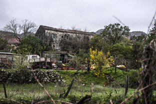 Fotos-Belgrad-Bar-Serbien-Montenegro